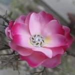 Pink Flower Clip, Magnolia Hair Clip, Wedding Hair..